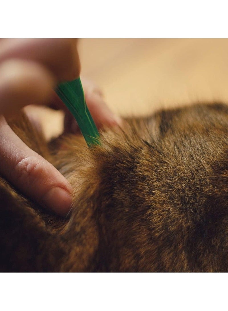 FRONTLINE Combo Flea & Tick Treatment for Cats and Ferrets - 3 Pipettes, Flea And Tick Treatment For Cats and Ferrets, Frontline for Cats - Image 2